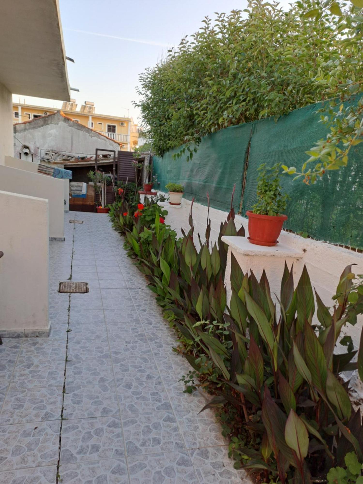 Tony'S Apartments Agios Georgios  Dış mekan fotoğraf
