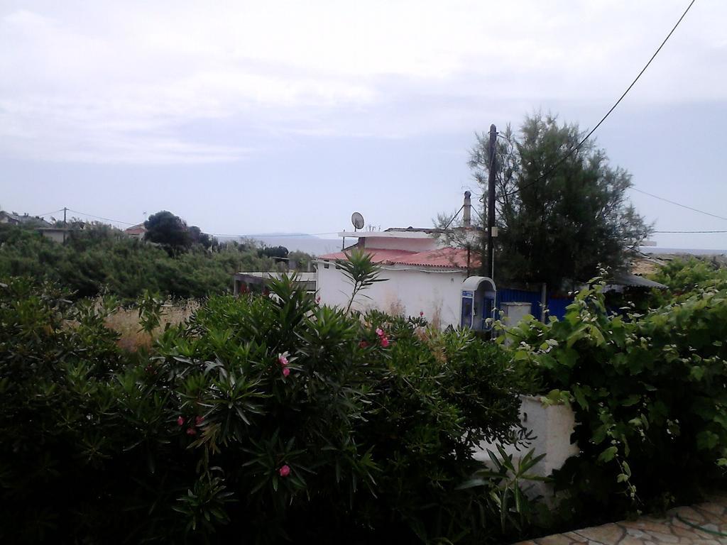 Tony'S Apartments Agios Georgios  Dış mekan fotoğraf