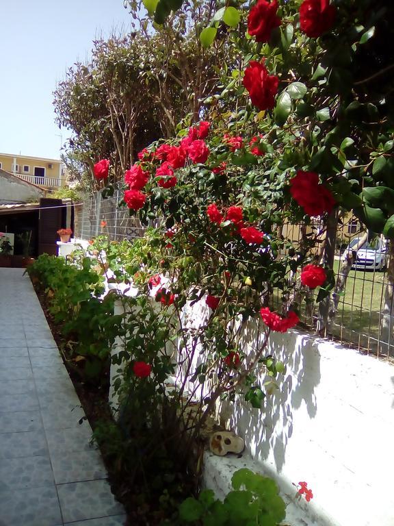 Tony'S Apartments Agios Georgios  Dış mekan fotoğraf